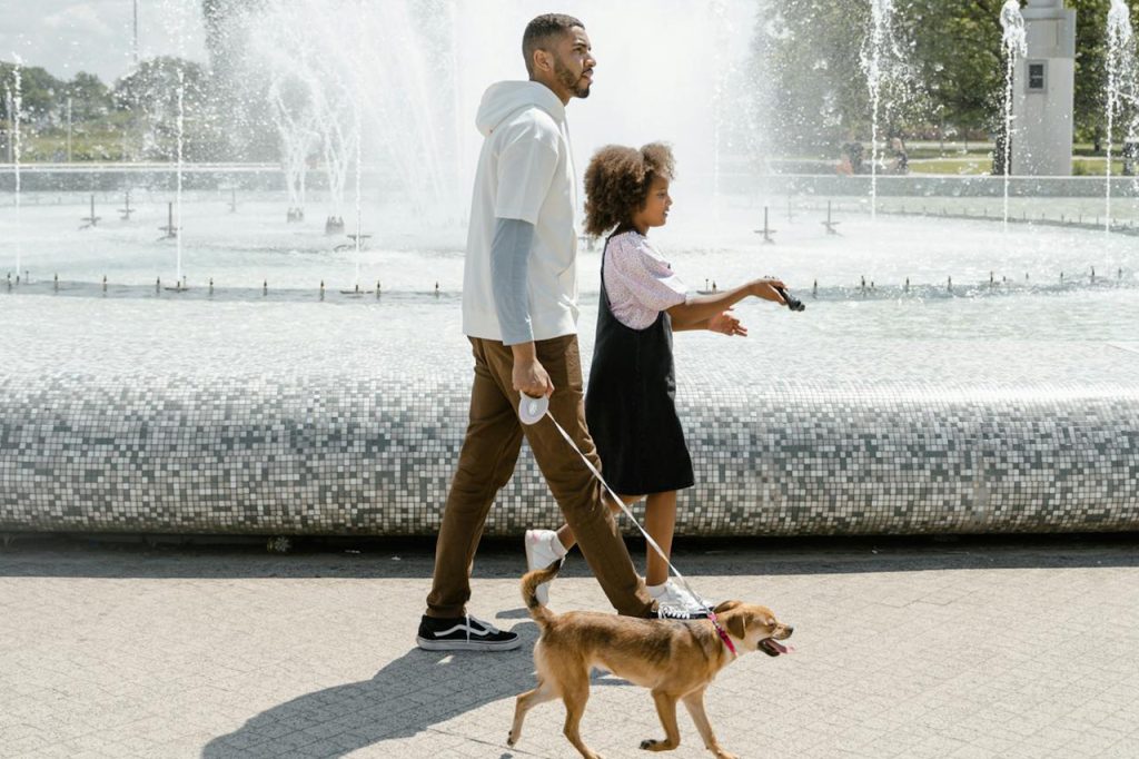 A man and a young girl walk a small brown dog on a leash past a large, spraying water fountain in a park on a sunny day.